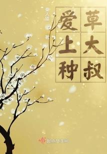 成都的80后们