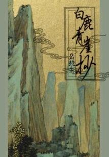 那一角，薰衣草绽放