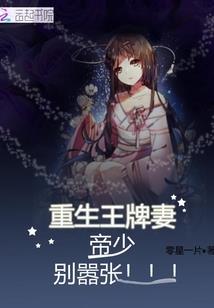 二婚嫁给总裁