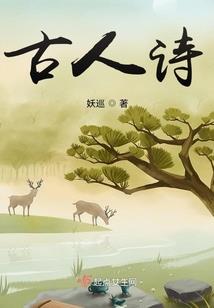荒龙图腾