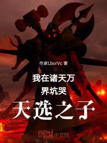 精灵宝可梦之天境之谜