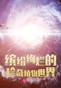 缺失的那一页：单侧