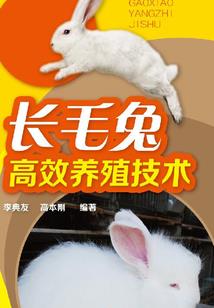 一剑破仓