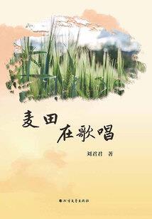 惊世月皇