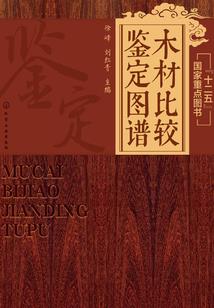 究拯之心