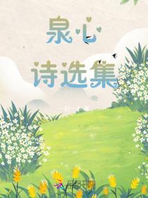 倾世朝歌
