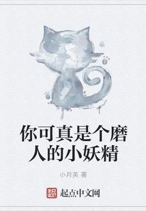 新人二十三