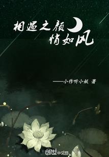 机甲与战舰——武乱星尘