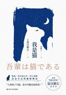 龙骑士传说之塞尔迪欧战乱