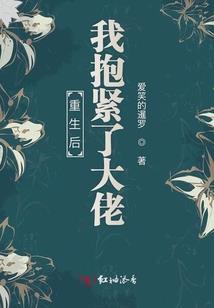 蔷薇锦夏若悠然