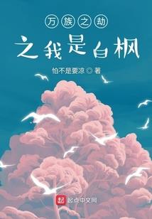 兰花青瓷泪