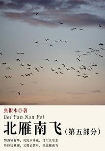 浪荡星河
