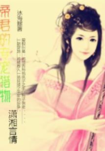 梦界奇谈