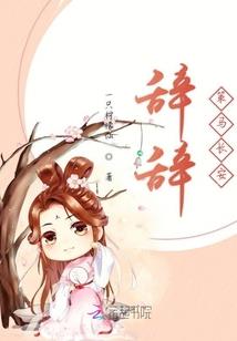 明月婵心