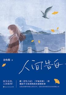 永恒天狐
