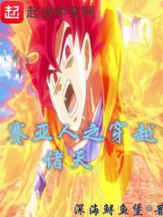 纵横次元位面