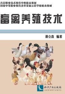 次元之吾乃主神