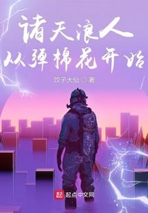 极品女护卫