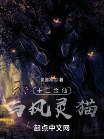 棒槌岛之旅
