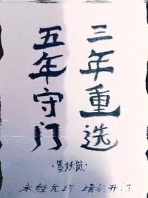 清冷吸血妃