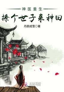 金蝉回忆录