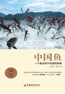 信息化试点单位