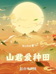 君许芳华