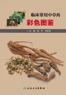 火影之幻术游戏
