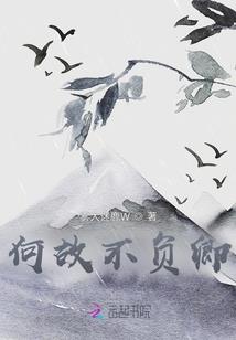 驸马转正指南