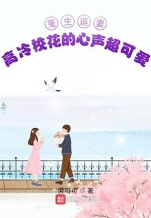偷天贼