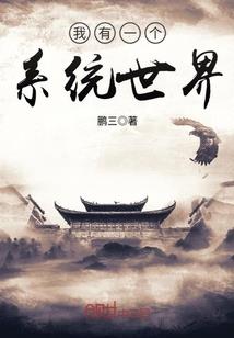 美国之行