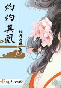 四爷独恋小婢女