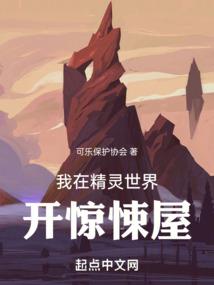 我是一个王