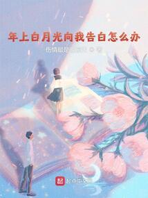 双子星辰：双子的爱情