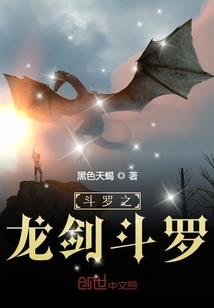 我的世界之圣者无双