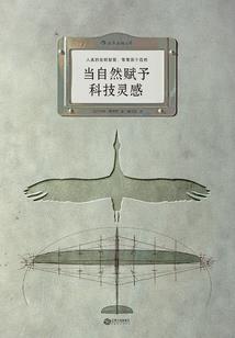 总裁蜜宠：你给我的青春