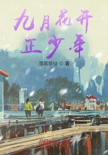 时夜歌