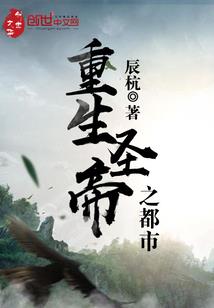 翱翔之战
