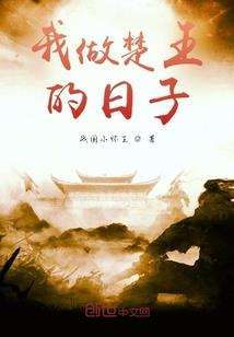 穿越的大盗贼