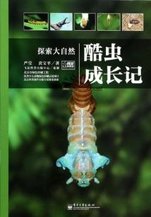 重生之一路花开