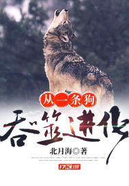 终为情殇