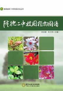 侦探瑞米源