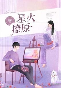 Fate之主宰与反抗