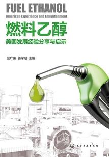 17年的爱恨