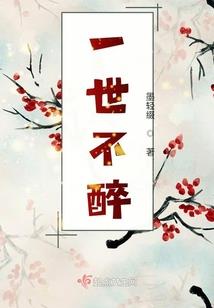 极品小厨闯都市