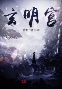 总裁的总裁妻
