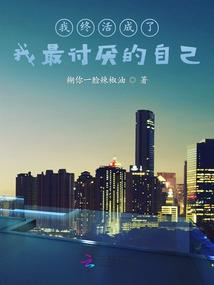 辰风天下