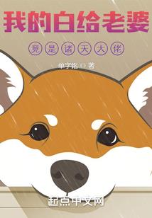 一统天下之压寨姑爷