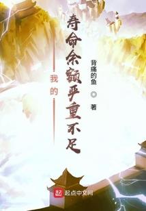 宠物小精灵之阿速传奇