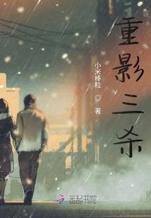 光逝：火之陨